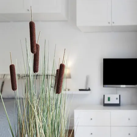 Boutique Anybody * 가이엔호펜